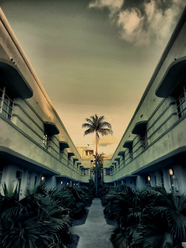 Miami  Palm Residence van Thomas Dellert, Fotografie te koop op Singulart