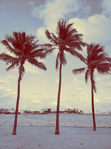 Miami Harbour van Thomas Dellert, Fotografie te koop op Singulart