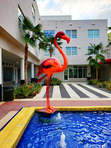 Miami Flamingo van Thomas Dellert, Fotografie te koop op Singulart