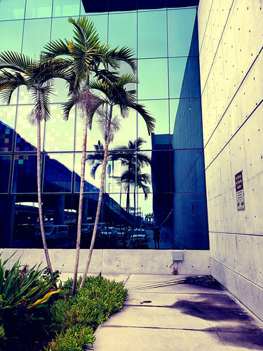 Miami Airport van Thomas Dellert, Fotografie te koop op Singulart
