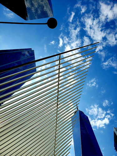 WE look up, and remember that day par Thomas Dellert, Photographie en vente sur Singulart