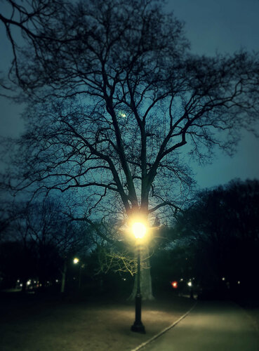 The Moon is Blue and Manhattan too par Thomas Dellert, Photographie en vente sur Singulart