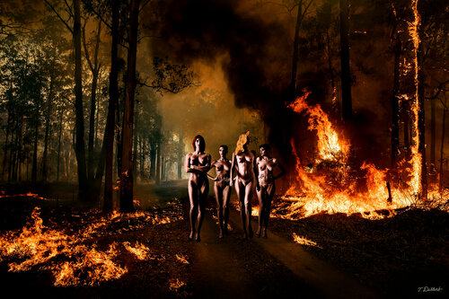 Naked in the burning world par Thomas Dellert, Photographie en vente sur Singulart