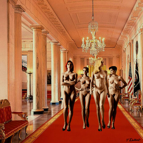 Naked in the White House par Thomas Dellert, Photographie en vente sur Singulart