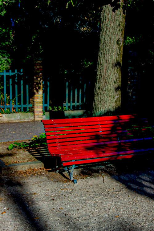 My place in the Venice garden Thomas Dellert