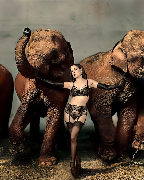 Dita in the Zoo with Richard Avedon Thomas Dellert