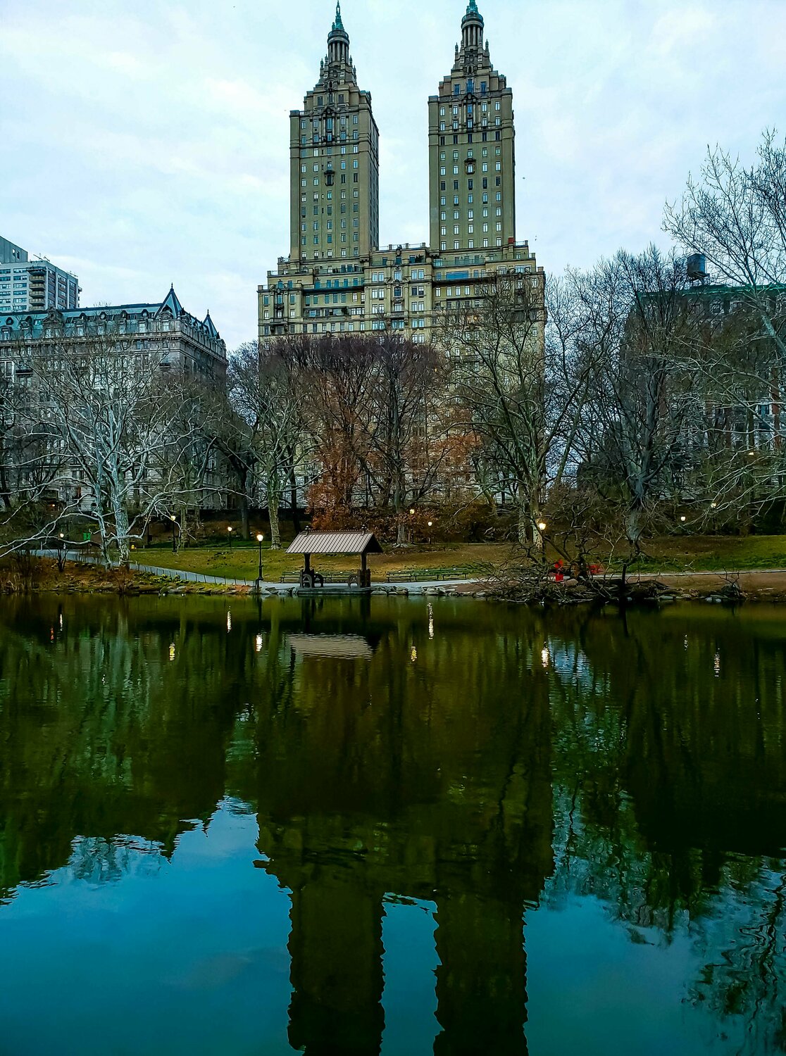 Central park Reflection Thomas Dellert