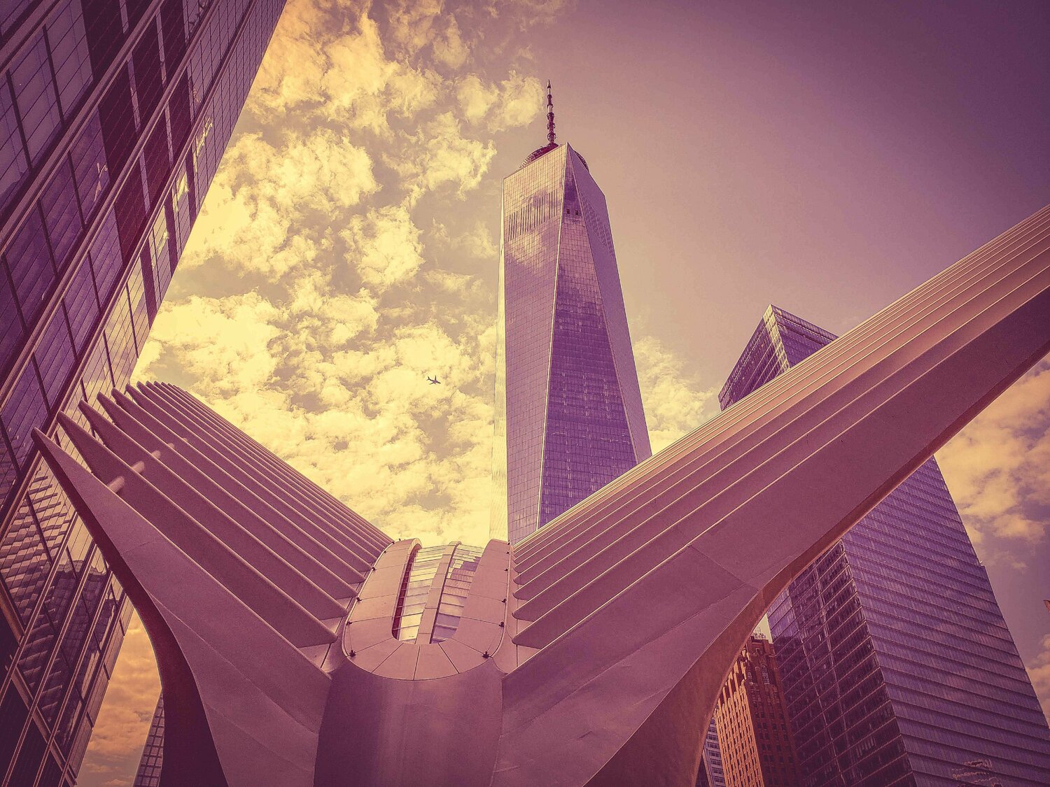 Manhattan Pink Ground Zero Thomas Dellert