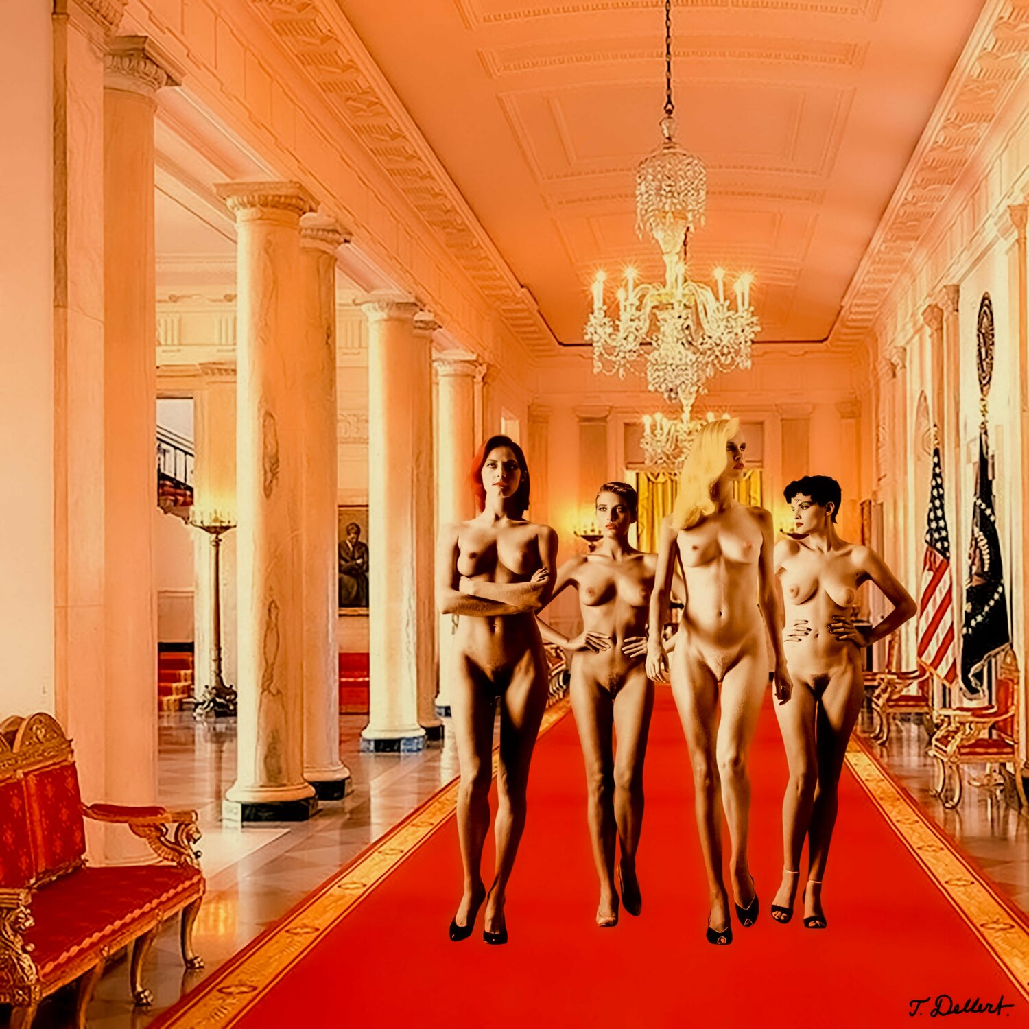 NAKED IN THE WHITE HOUSE Thomas Dellert