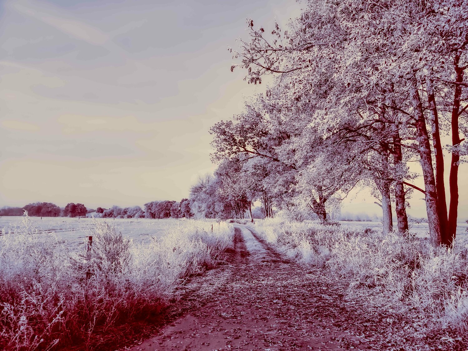 German winter lanscape Thomas Dellert