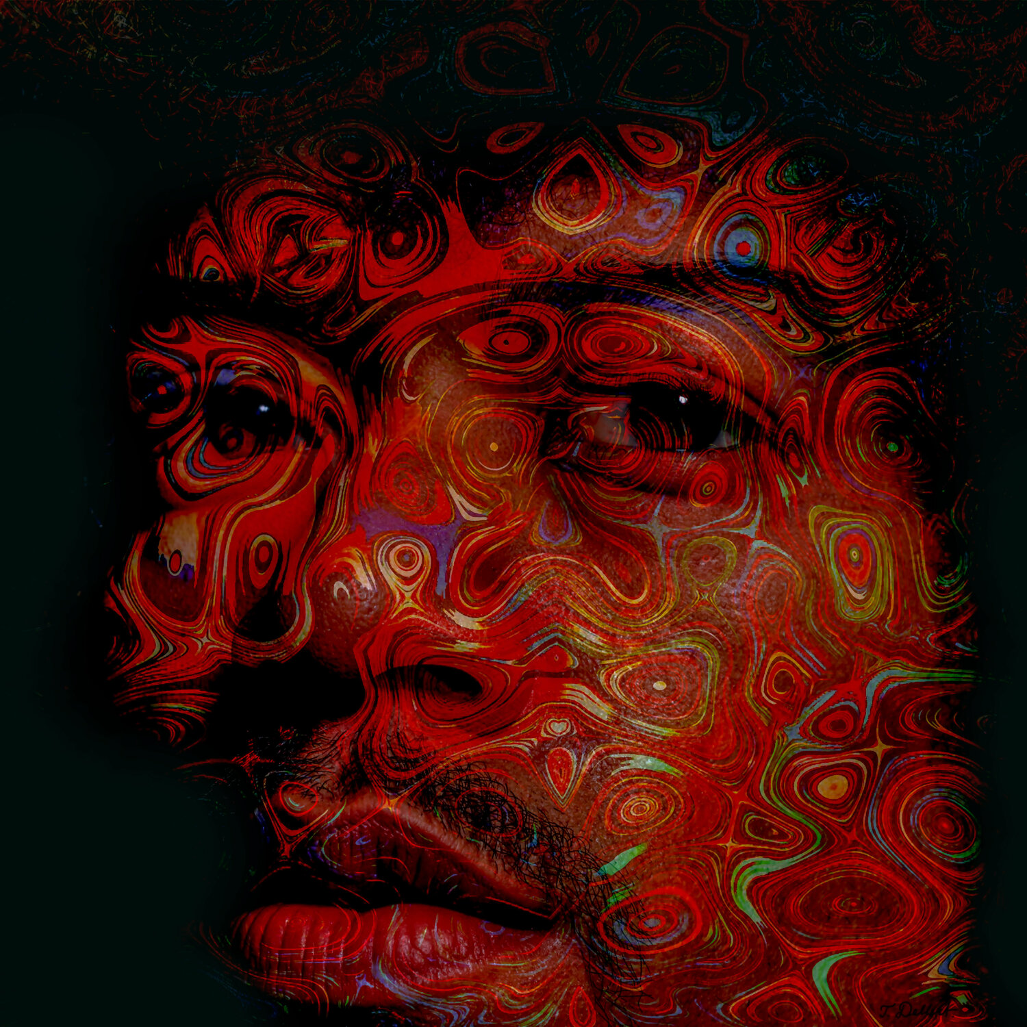 JIMI ROCK PORTRAIT NR 2 Thomas Dellert