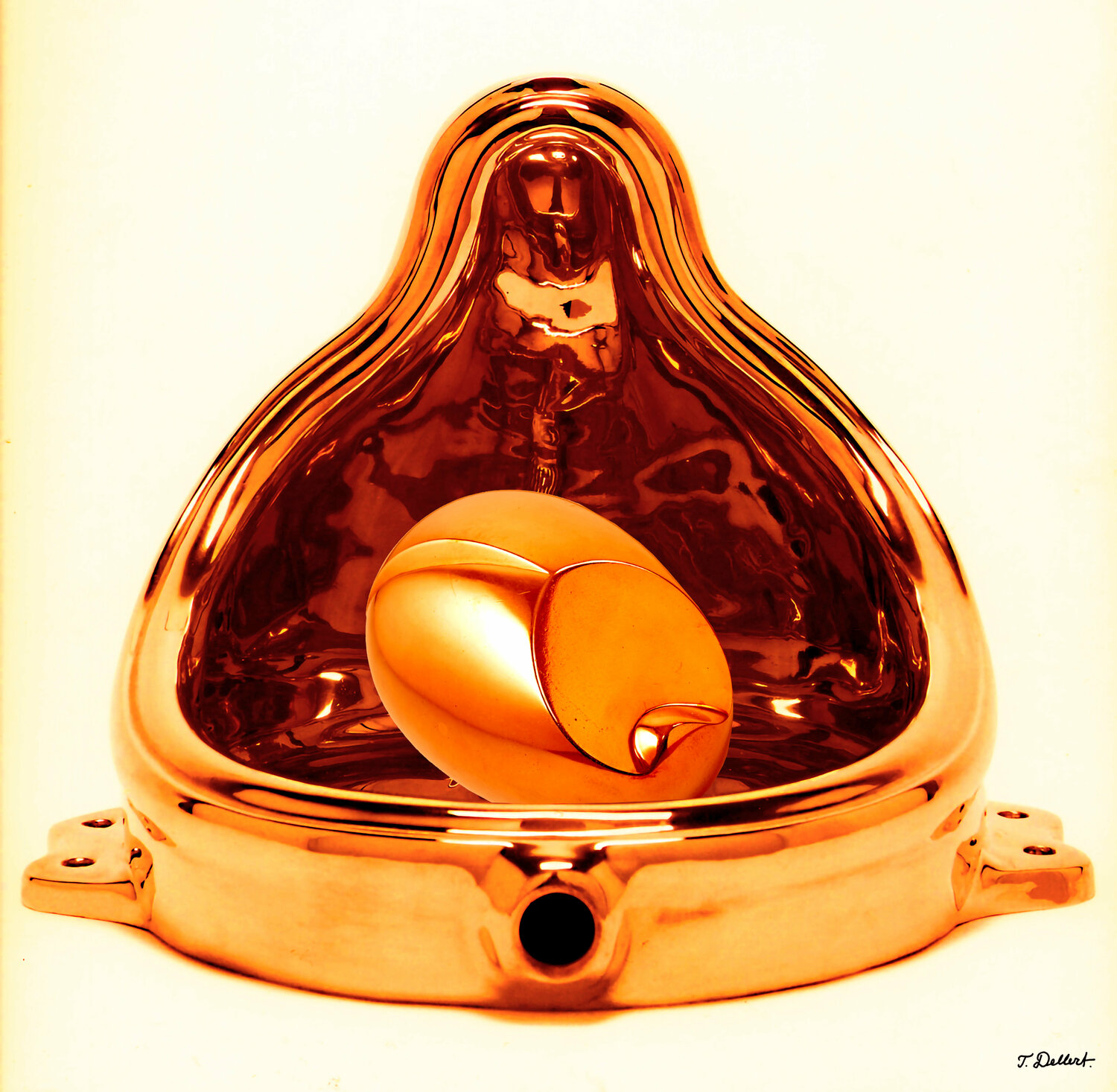 The Birth of Modern Art ( after Barncusi and Duchamp ) Thomas Dellert Fotografie zu verkaufen