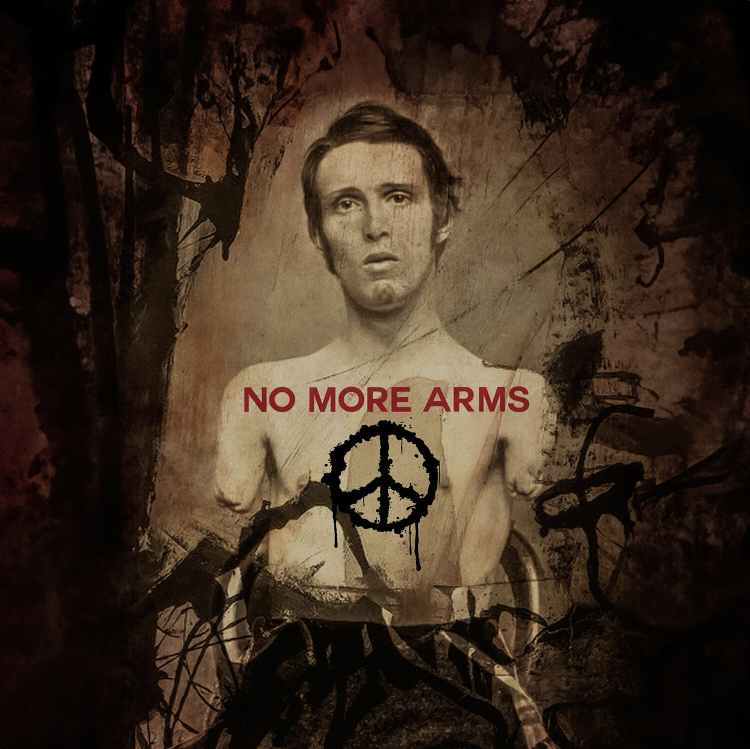 NO MORE ARMS NO MORE WARS Thomas Dellert