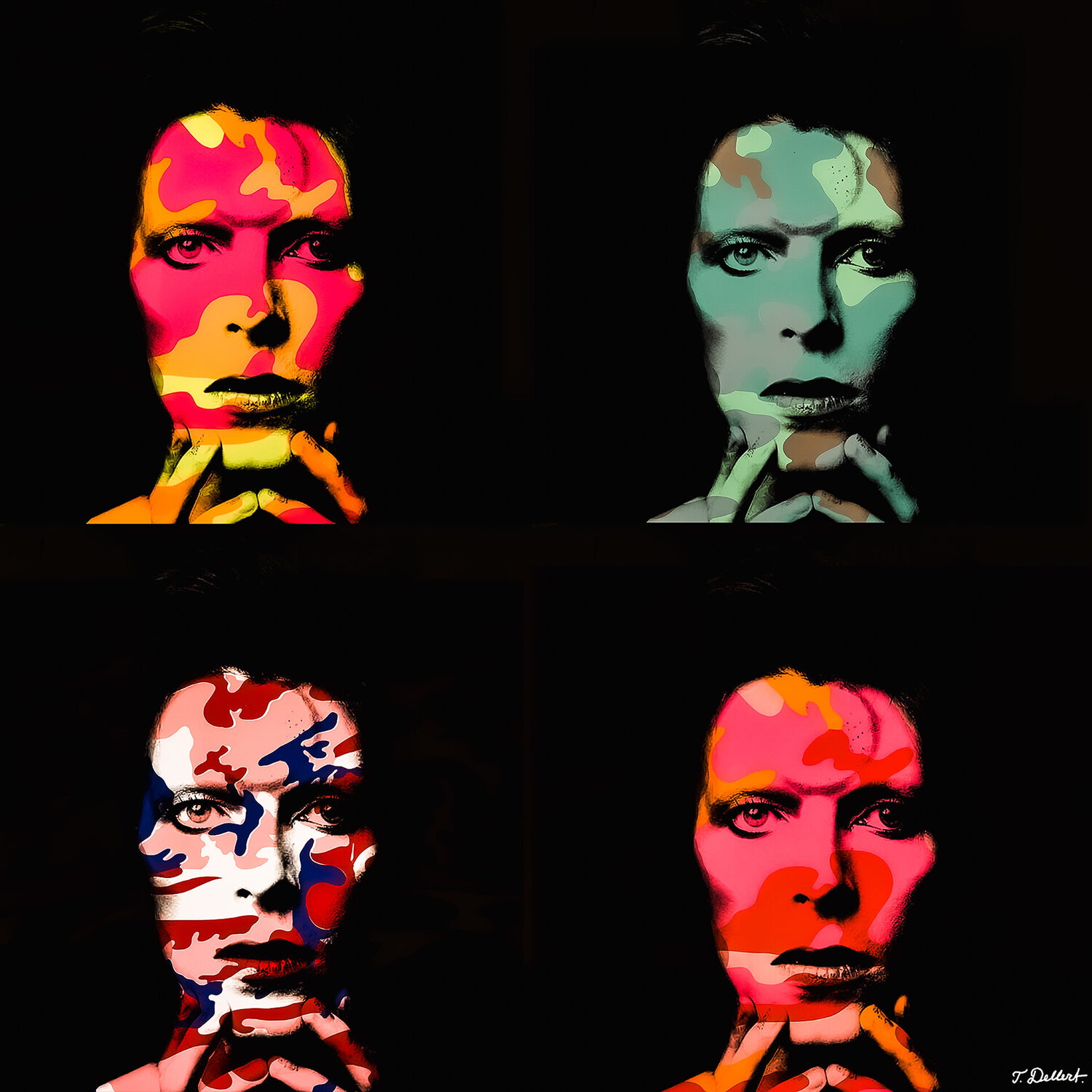 DAVID BOWIE master of Camouflage Disguise Thomas Dellert Fotografie zu verkaufen