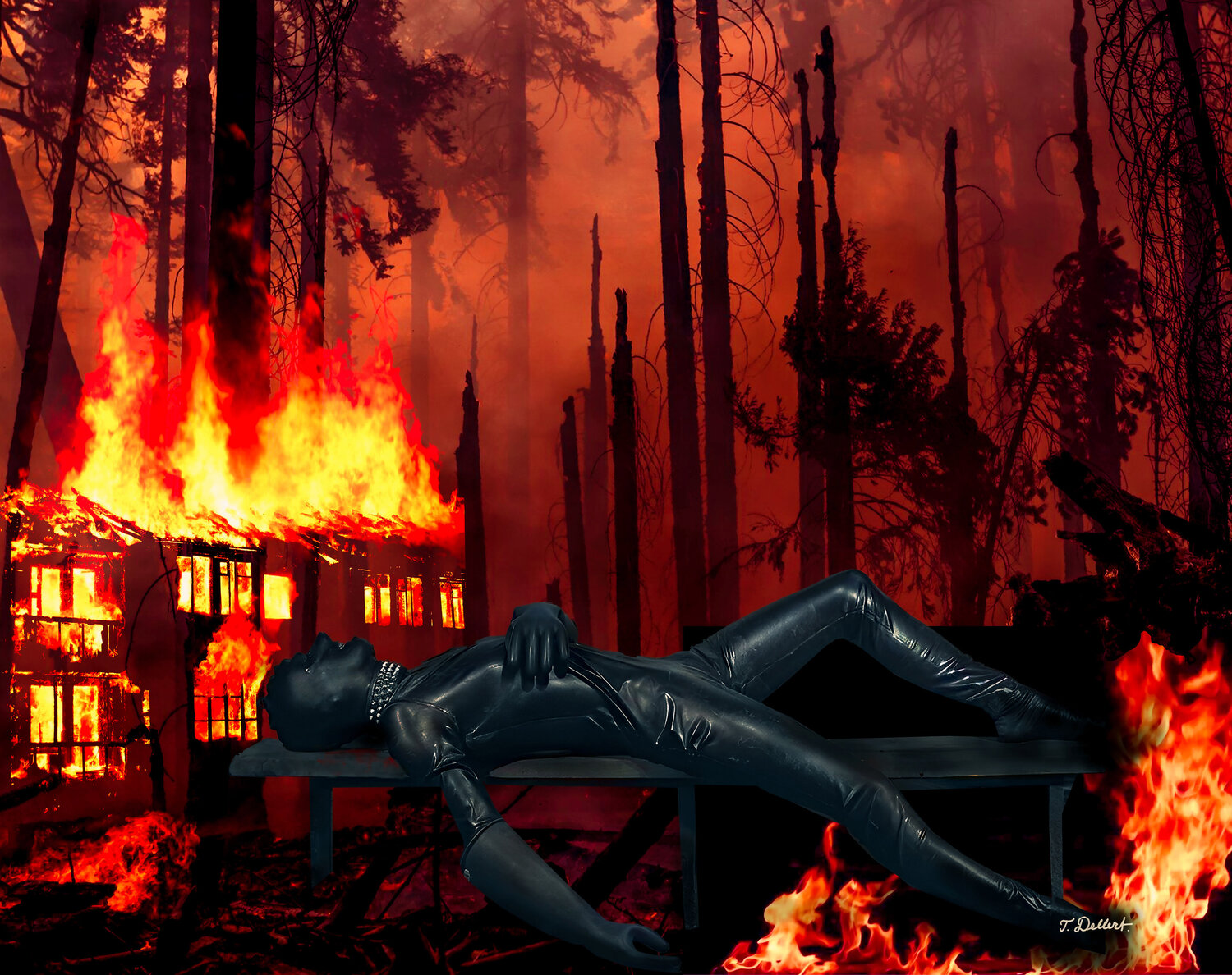 Who set the World on fire ? Thomas Dellert