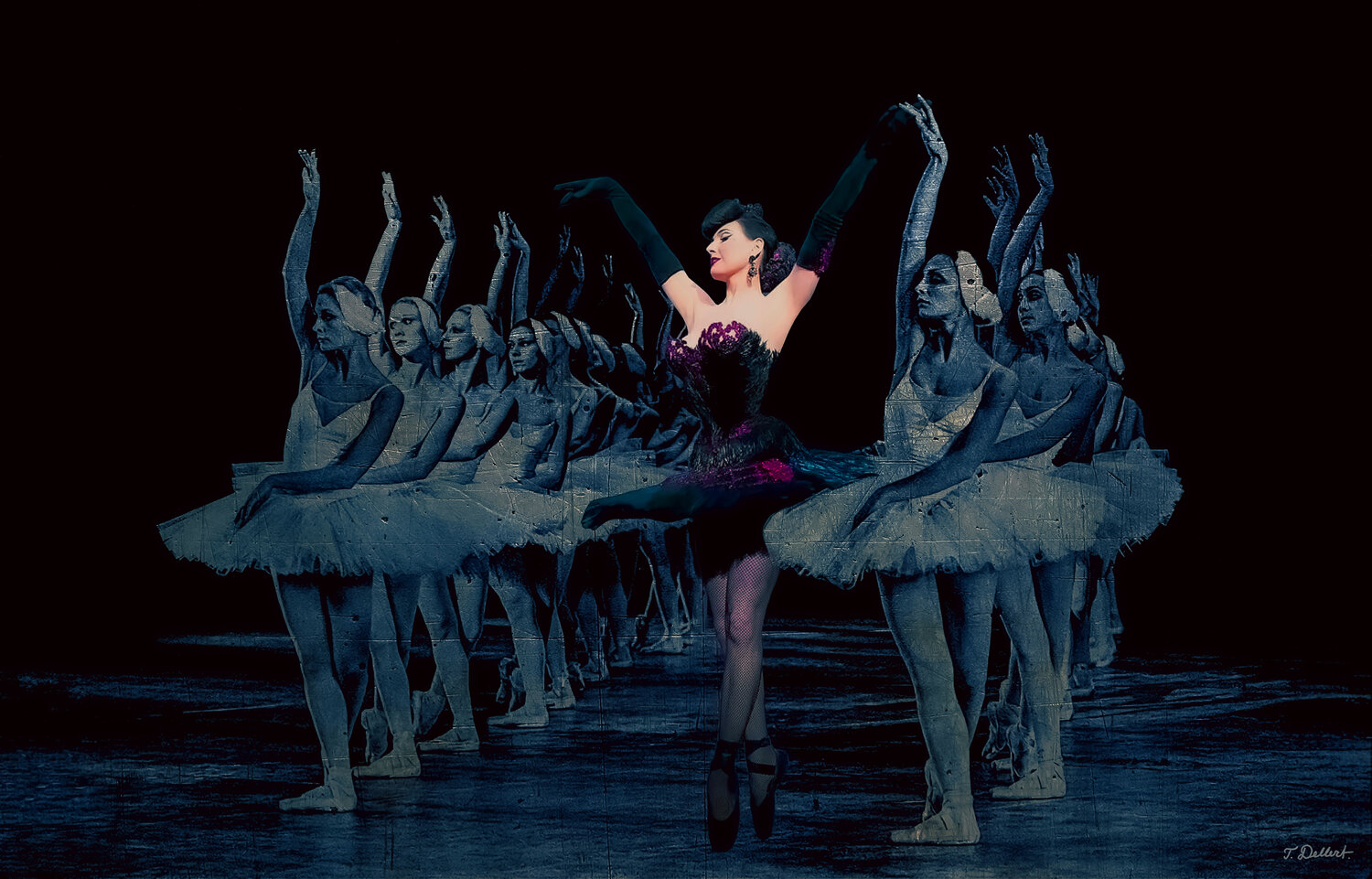 Dita the Burlesque Swan in the pale m blue moonlight Thomas Dellert Fotografie zu verkaufen