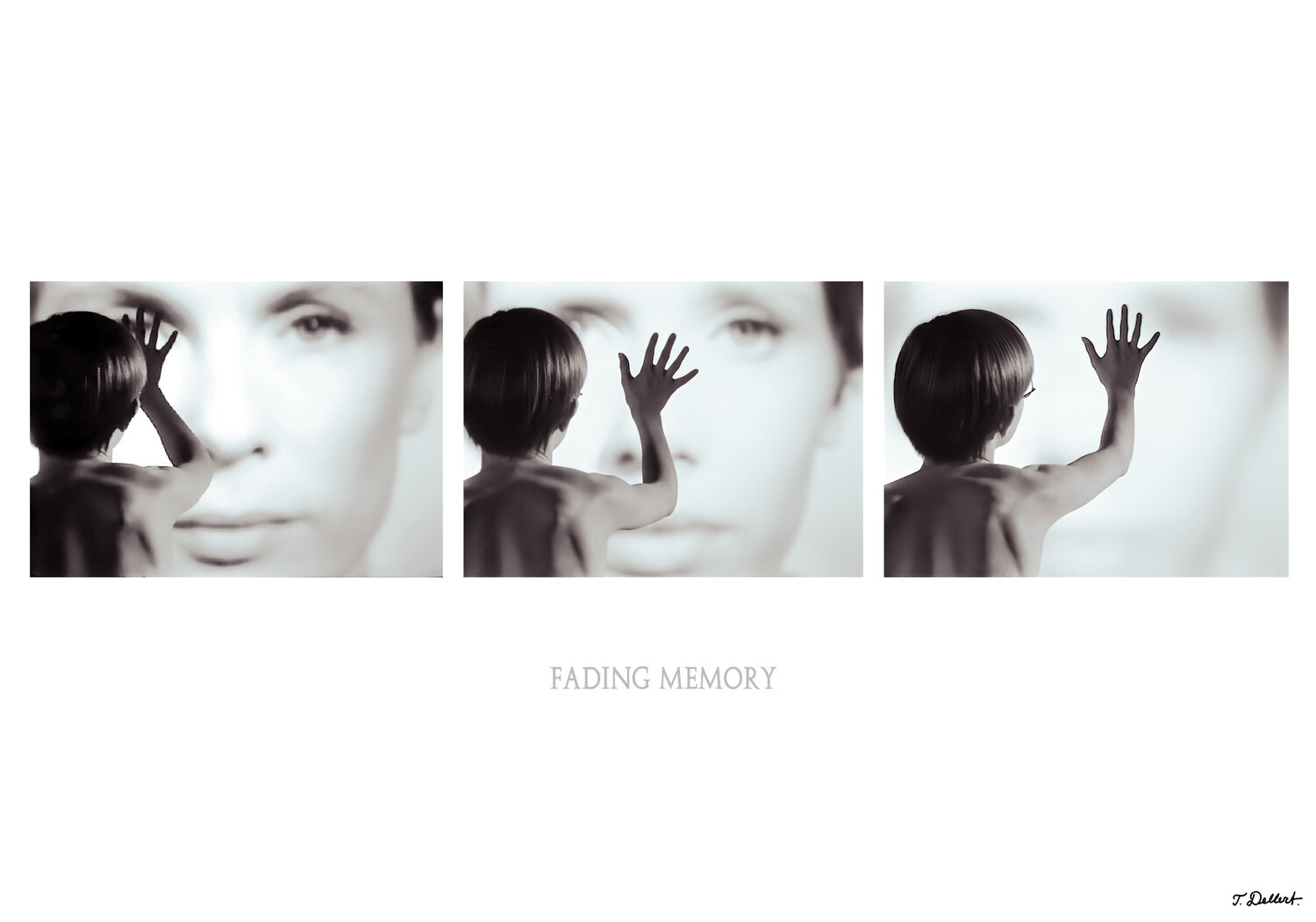 Fading memory Thomas Dellert
