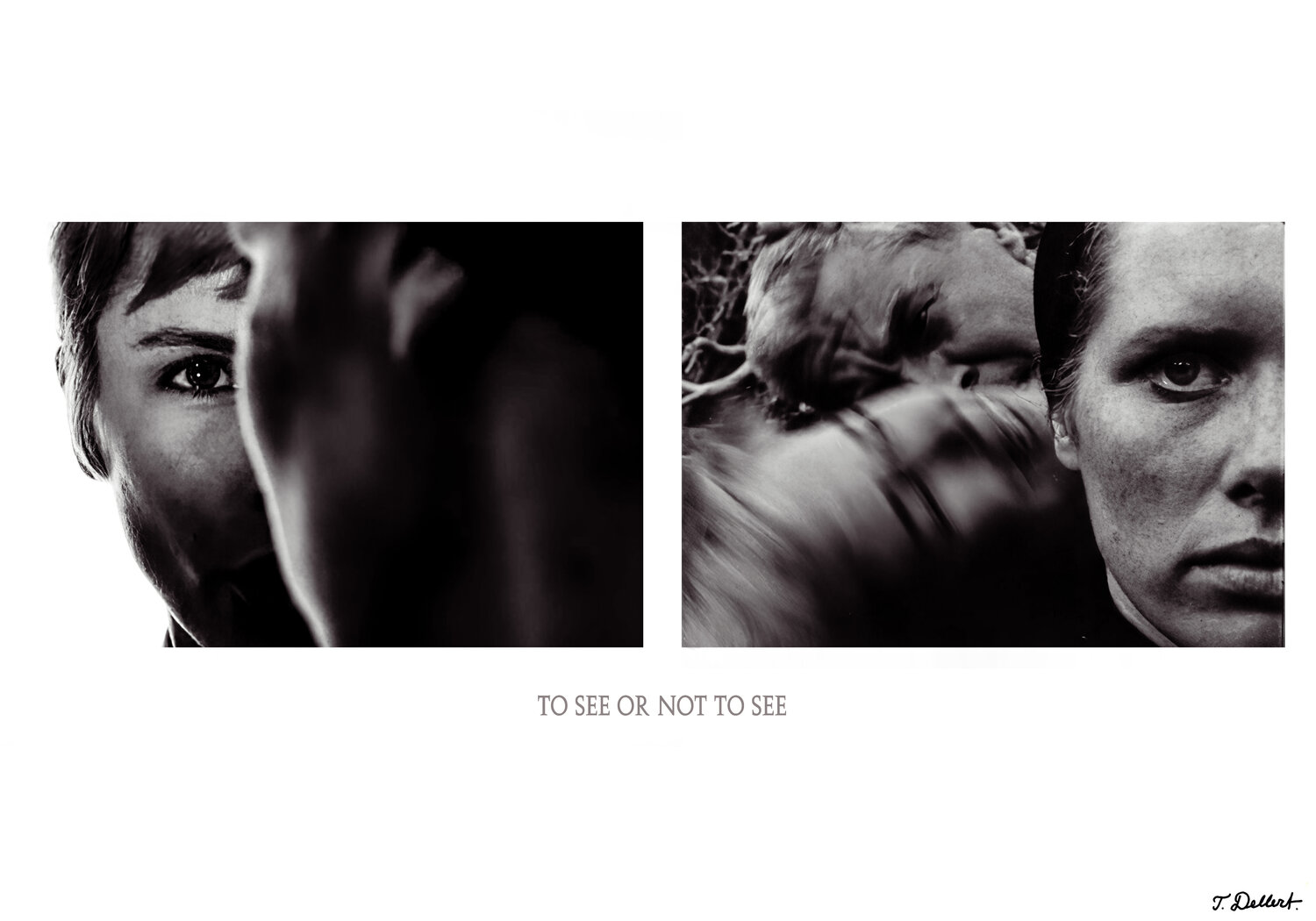 To See or Not to See Thomas Dellert