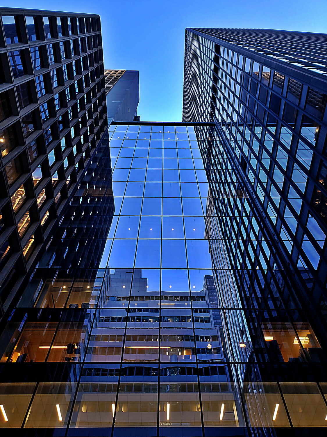 manhattan is Blue and so are You Thomas Dellert