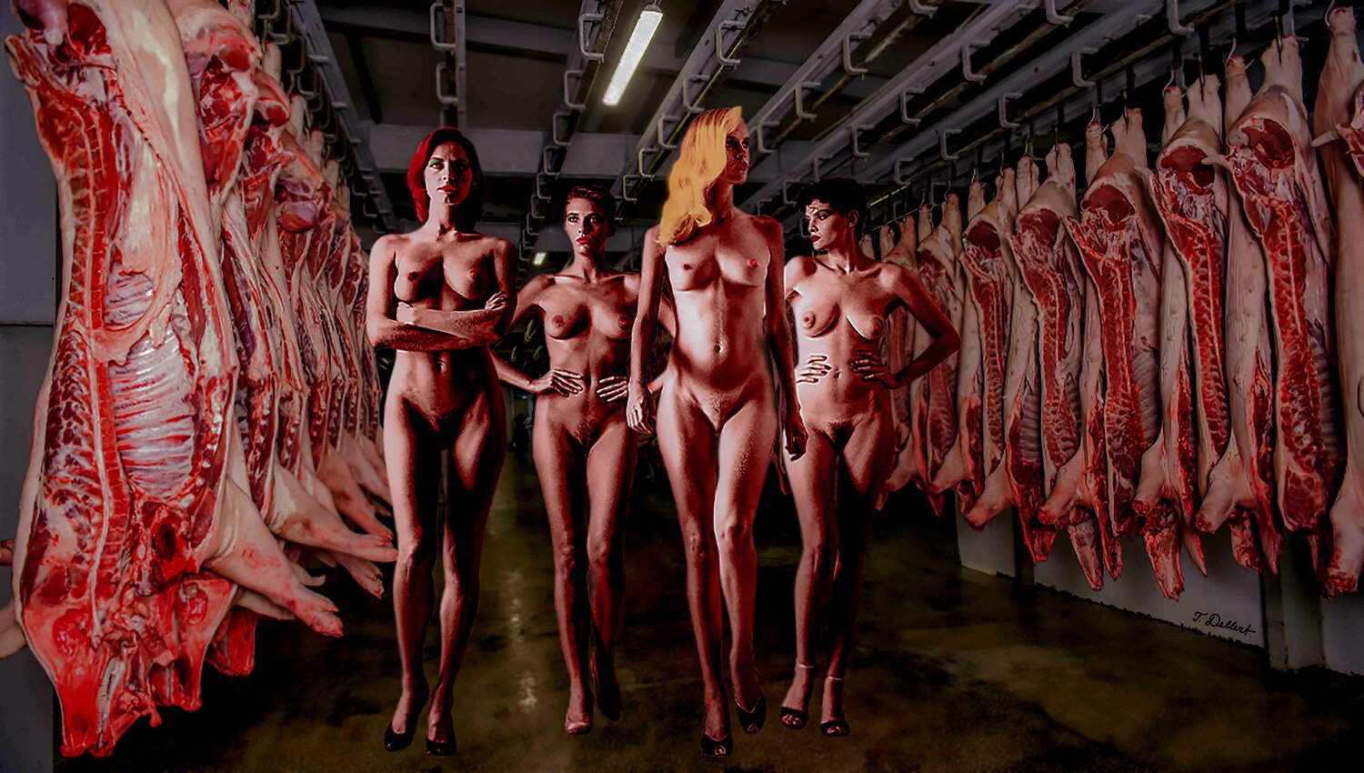 Laat het ons weten en we sturen ze zo snel mogelijk naar u op! 