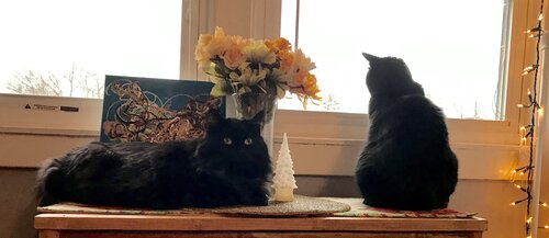 My Girls by Keeley Chevrier, 사진 for Sale on Singulart