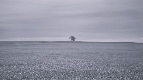 SOLITUDE di Frédéric MOUGENOT, Fotografia in vendita su Singulart