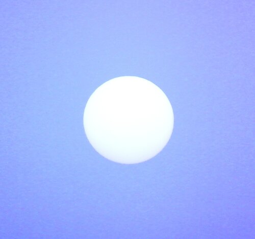 SOLEIL BLANC di Frédéric MOUGENOT, Fotografia in vendita su Singulart