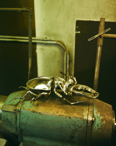 Stag Beetle de Ágnes Nagy, Escultura a la venta en Singulart