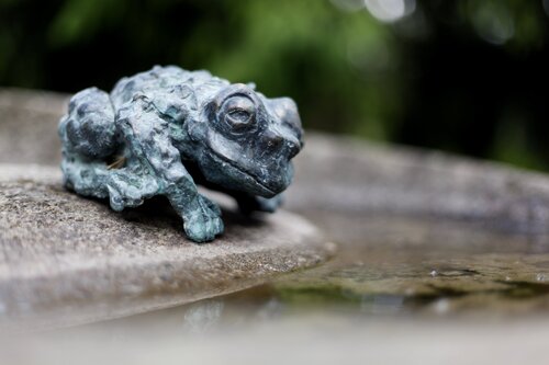 Frog by Ágnes Nagy, Sculpture for Sale on Singulart