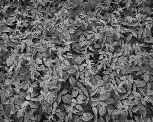 No title by Hans Strand, 사진 for Sale on Singulart