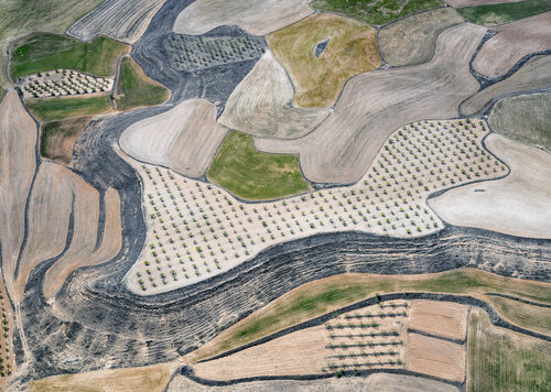 Farmland IV by Hans Strand, Photography for Sale on Singulart