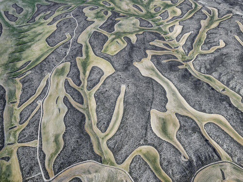 Farmland I by Hans Strand, Photography for Sale on Singulart