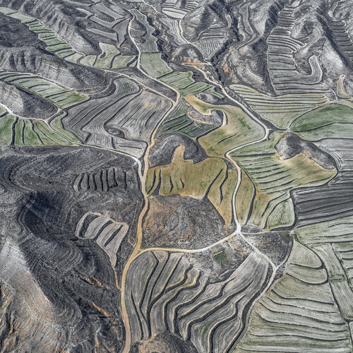 Farmland II von Hans Strand, Fotografie kaufen auf Singulart