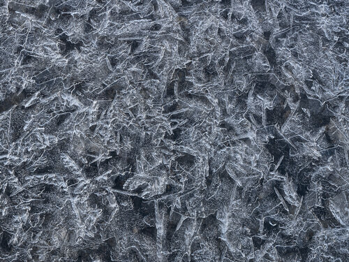 Frozen von Hans Strand, Fotografie kaufen auf Singulart