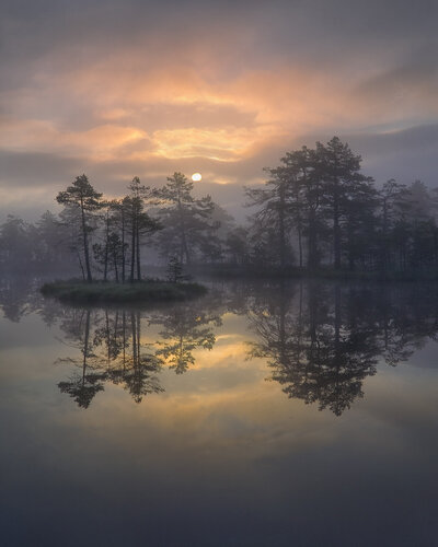 Dawn van Hans Strand, Fotografie te koop op Singulart