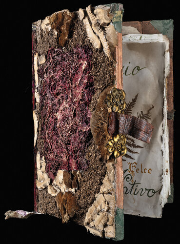 ERBARIO SABINO van Vittorio Fava, Andere media te koop op Singulart