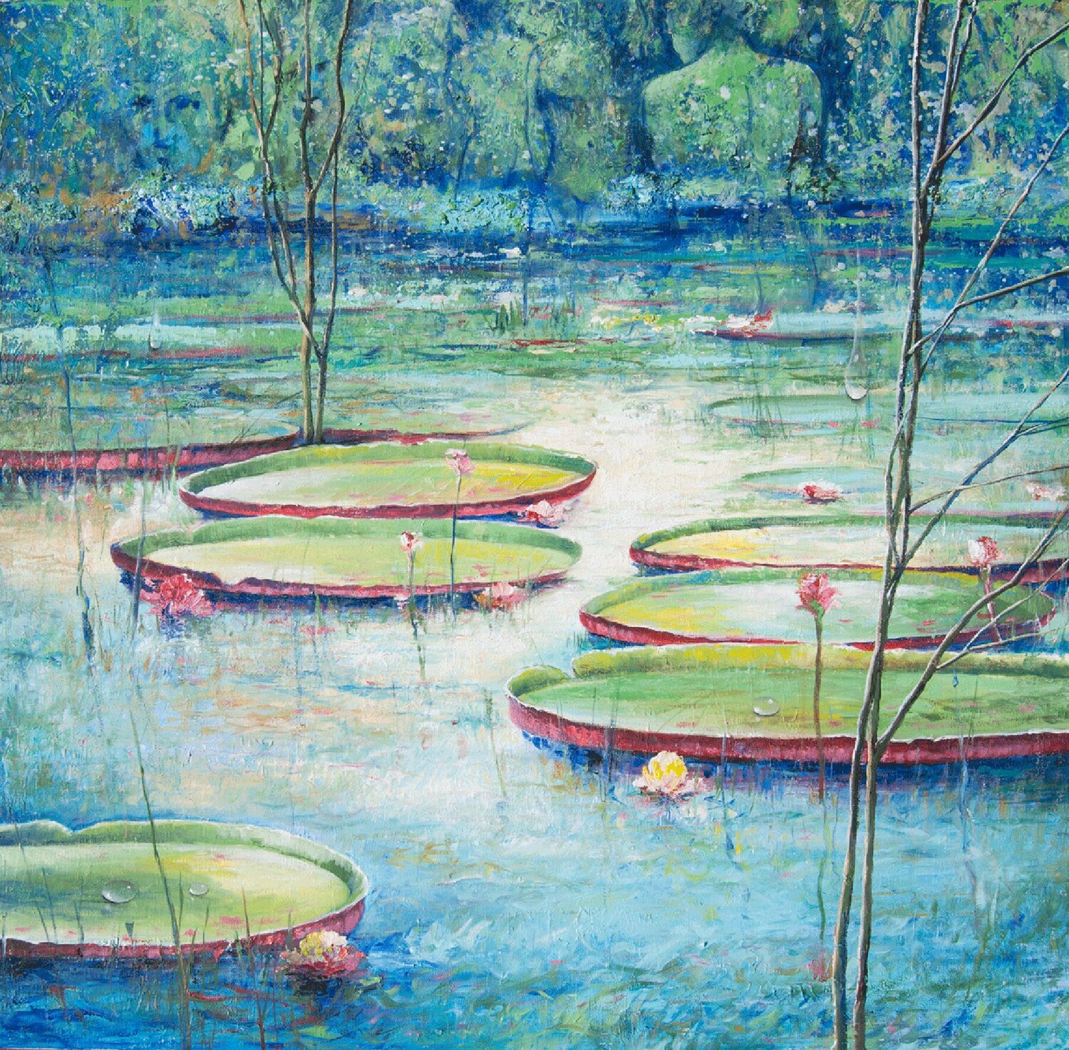 Victoria Regia Reflections Jorge A. Yances