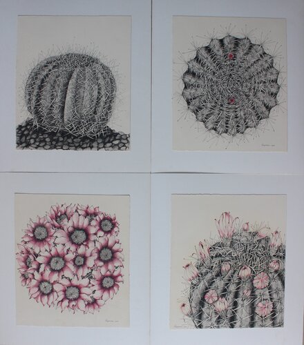 Thorns have flowers von RAJASHREE NAYAK, Zeichnungen kaufen auf Singulart