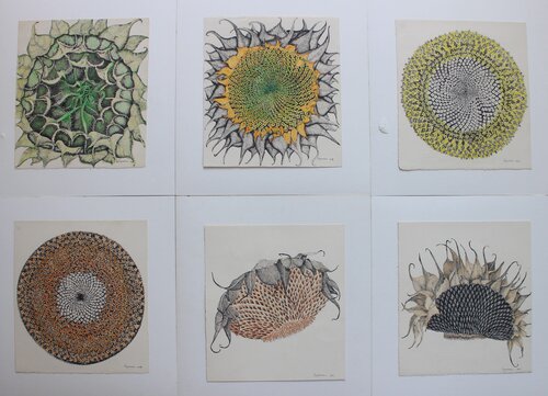 My Garden Stories 1 by RAJASHREE NAYAK, 소묘 for Sale on Singulart