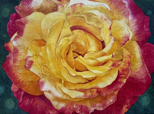 Changing Colors von Tasneem Arif, Malerei kaufen auf Singulart