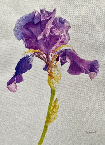 Purple Veil di Tasneem Arif, Pittura in vendita su Singulart