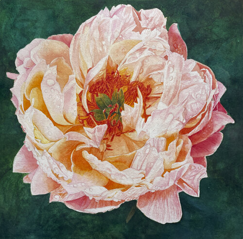 Blush von Tasneem Arif, Malerei kaufen auf Singulart