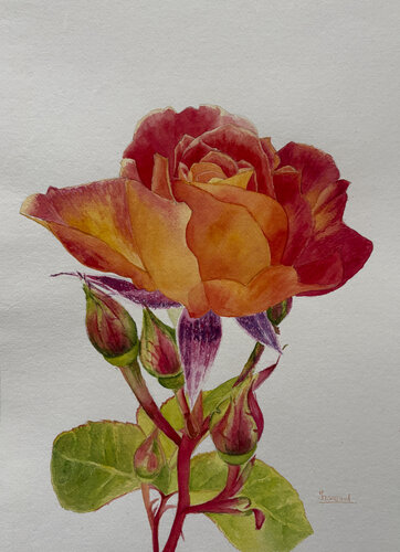 Rising Through The Fire von Tasneem Arif, Malerei kaufen auf Singulart