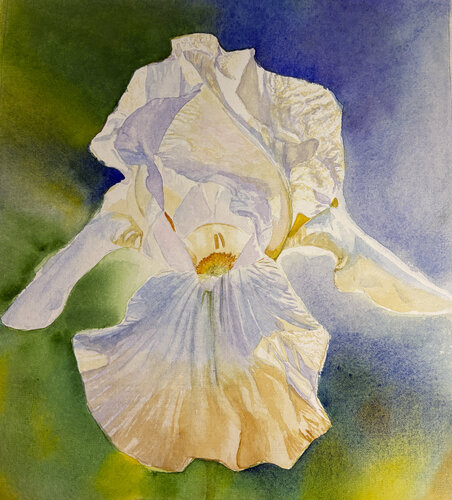 Angel Wings de Tasneem Arif, Pintura a la venta en Singulart