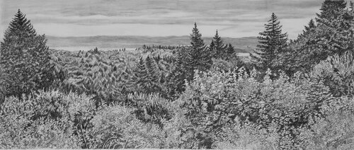 Lush by Tasneem Arif, Drawing for Sale on Singulart