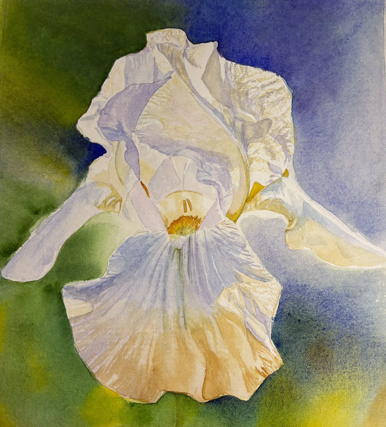 Angel Wings Tasneem Arif
