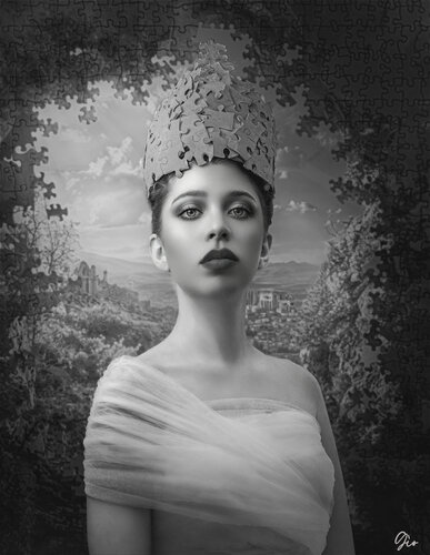 Crowned Puzzle van Susana Gío Fernández, Fotografie te koop op Singulart