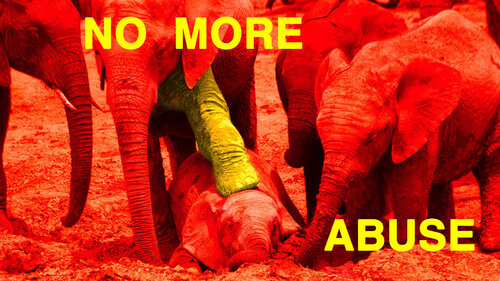 No More Abuse by Nina Kollmann, Photography for Sale on Singulart