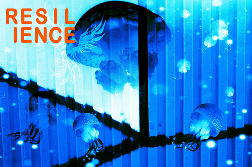 Resilience by Nina Kollmann, Photography for Sale on Singulart