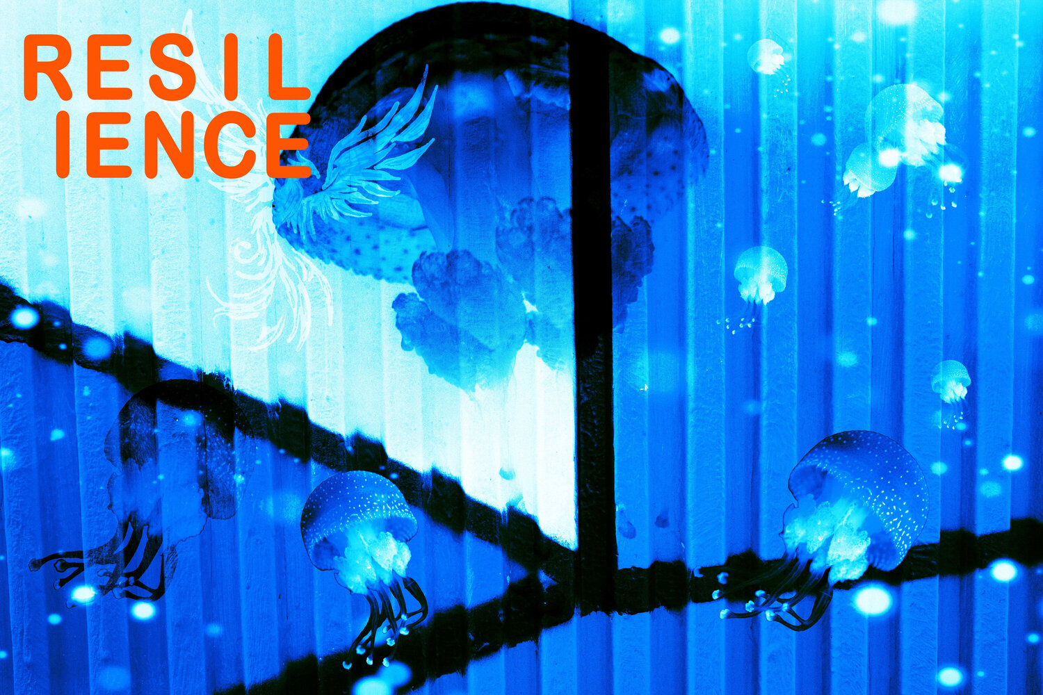 Resilience Nina Kollmann Photography for sale